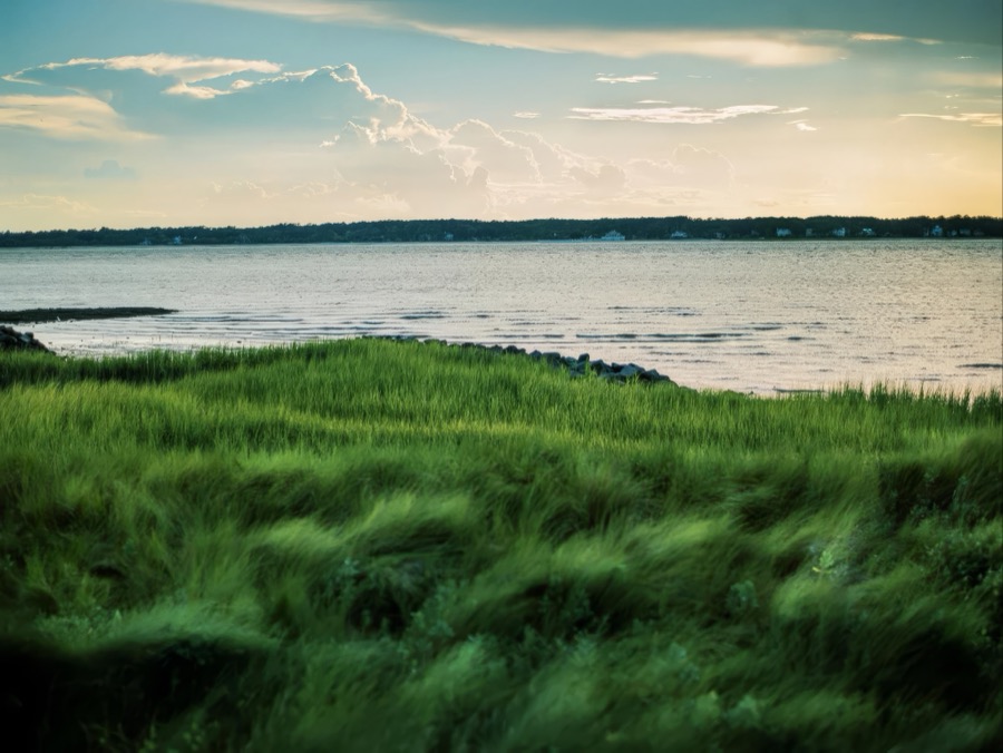 Shore