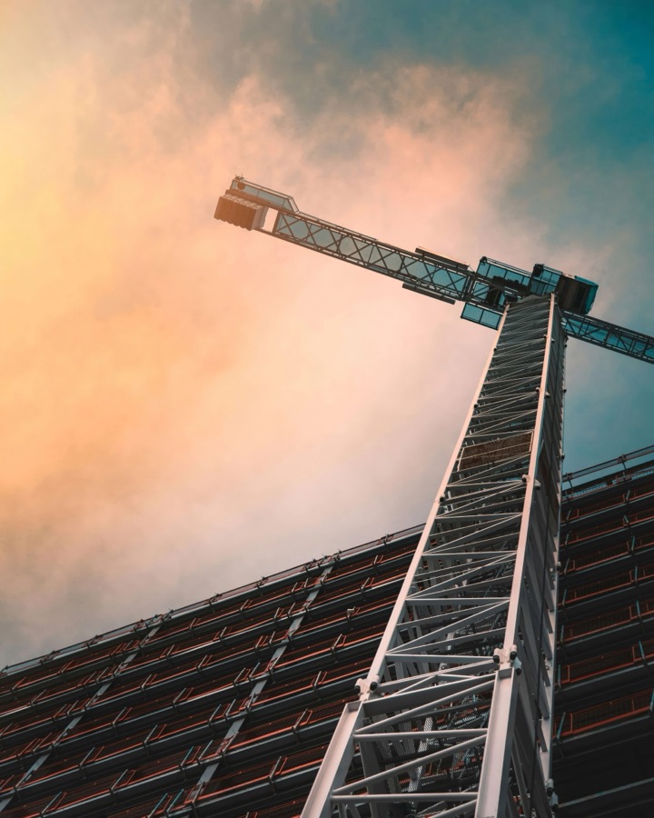 The Crane